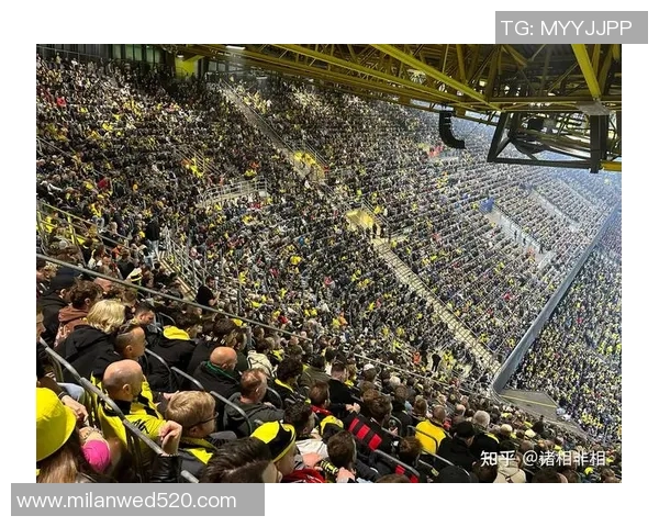 大牌足球明星球迷的热情与追随如何影响全球足球文化与市场发展
